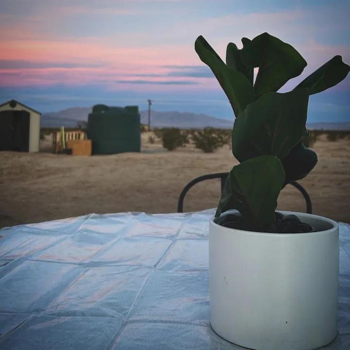 Serene Modern Home Backdoor With Great Wifi, Games, Movies, Patio Seating And Bbq Easy Access To North Joshua Tree National Park In 10 Minutes Туентінайн-Палмс Екстер'єр фото